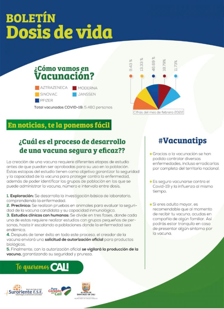Te contamos cuál es el proceso de desarrollo de una vacuna segura y eficaz