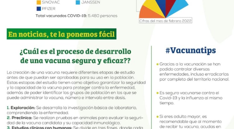 Te contamos cuál es el proceso de desarrollo de una vacuna segura y eficaz